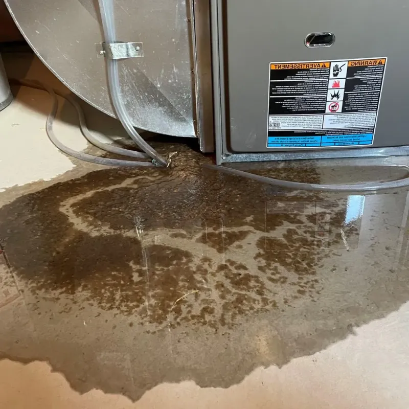 Pipe Burst and Leak Restoration in Jenkins, KY