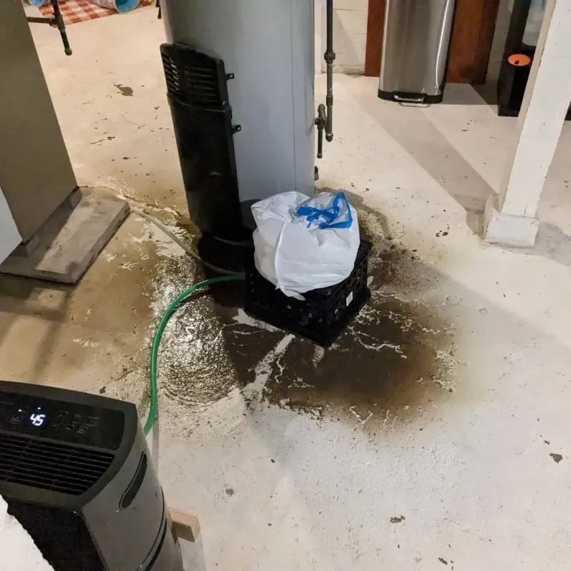 Sewage Backup Cleanup Service in Jenkins, KY
